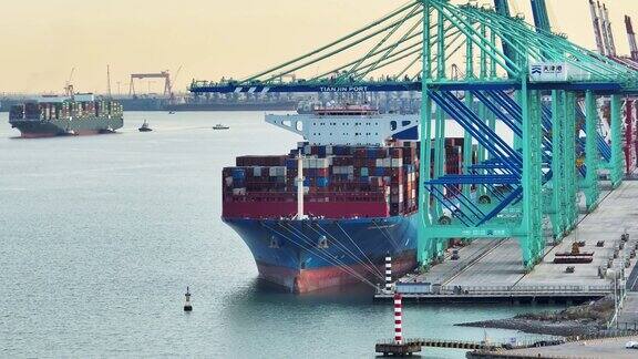 中国天津港自动化集装箱码头的航拍视频