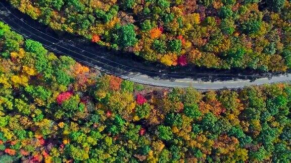 在阿巴拉契亚山波科诺斯宾夕法尼亚州的森林道路顶视图秋天的树叶空中无人机视频
