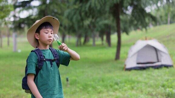 一个亚洲男孩正在观察他捉到的昆虫