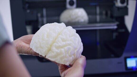 女性手牵着手检查一个3D大脑模型同时3D打印机正在制作另一个