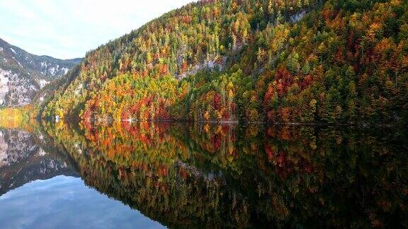 秋天的森林倒映在奥地利阿尔卑斯山的托普利茨湖的水中