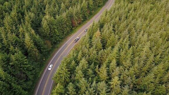 蜿蜒的道路通过管理森林在太平洋西北-航拍