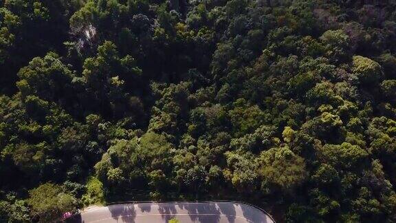 无人机:蜿蜒穿过森林的道路