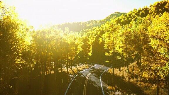 日落时的公路和黄山森林