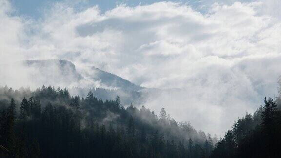 放大到不列颠哥伦比亚省戈尔登山区的雾