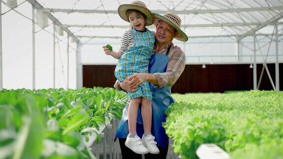 亚洲菜园家庭爷爷带着孙子们在温室水培的有机菜园里教他们如何照顾和种植蔬菜