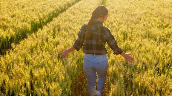 抚摸小麦作物的年轻女子