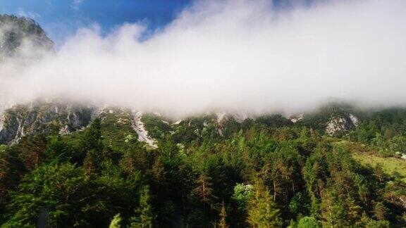 奥地利美丽的阿尔卑斯山山峰上的云被森林覆盖着行驶中的汽车窗外的景色