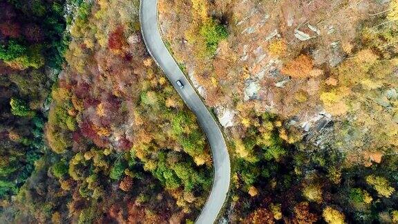 空中鸟瞰汽车行驶在五彩缤纷的秋天森林道路上秋天有橙、绿、黄、红的树林山区街道道路的建立4k无人机飞行直线下降建立拍摄
