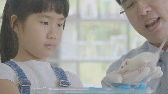 小亚洲学生女孩在科学实验实验课上学习实验老鼠科学和教育
