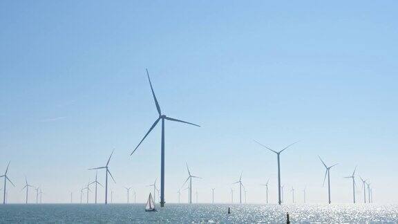 荷兰最大的风车农场可持续发展可再生能源