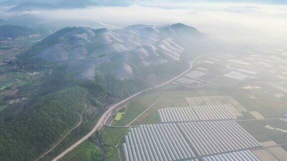 在晨雾中鸟瞰太阳能发电厂和农场