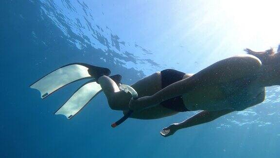 4K自由潜水长鳍海豚踢腿风格在大海的清澈的水后面的空气泡沫