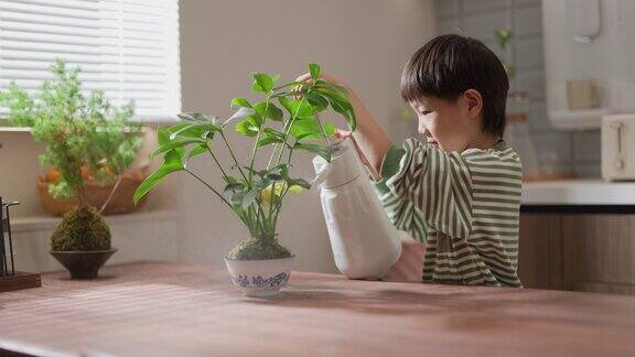 一个亚洲男孩正在家里浇花