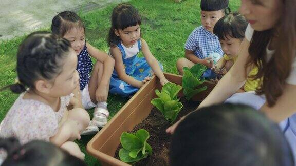 幼儿园里教孩子植物的学前教师