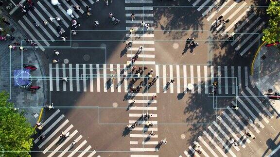 大城市的人行横道科技在我们身边