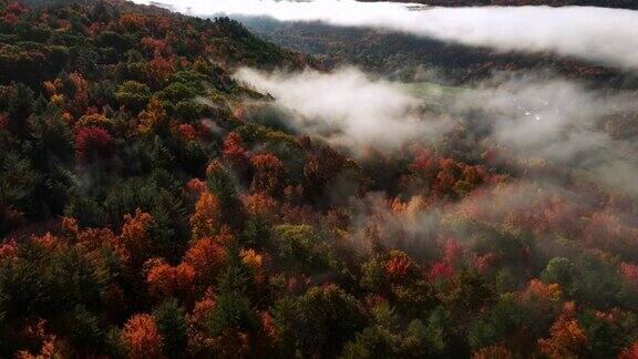 纽约州北部卡茨基尔山脉雾蒙蒙的秋天日出