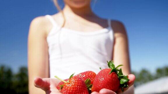 在农场里捧着草莓的女孩