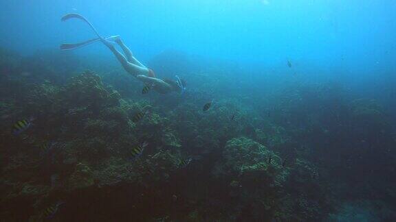 女人们在海底珊瑚礁周围自由潜水