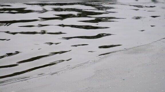 在春天的时候阿尔泰河碧雅上的水波和浮冰的边缘