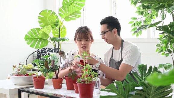 年轻的亚洲夫妇微笑着在客厅里一起盆栽植物