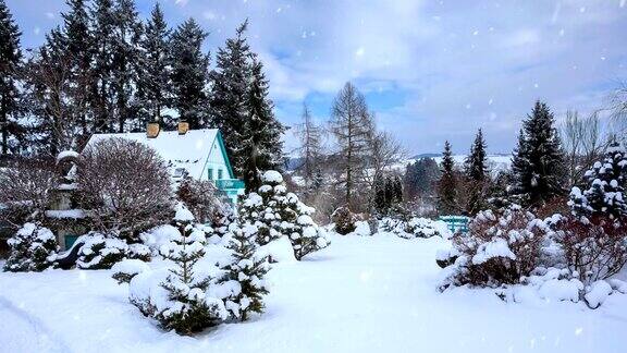 冬季花园无缝循环背景与雪花