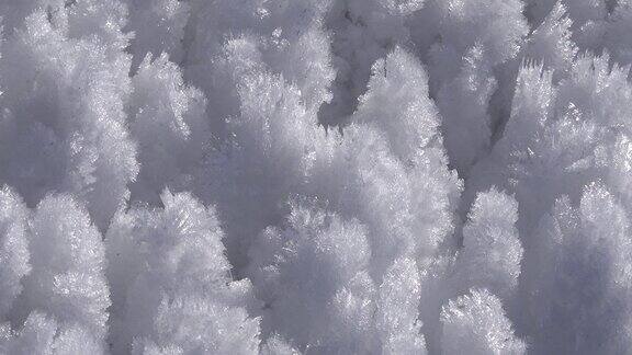 锐利的雾凇冰晶和脆弱的薄白霜在晴朗的冬日