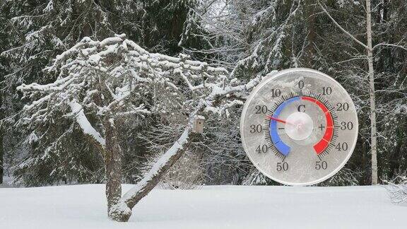 爱沙尼亚外面零下30度的温度