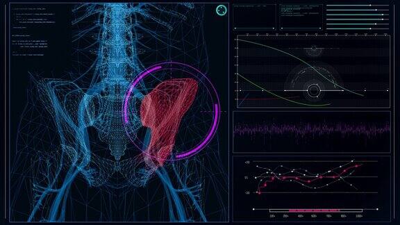 未来实验室屏幕与动画人体模型扫描虚拟病人的损伤臀部有红色斑纹近距离