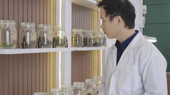戴着手套的科学家在温室里检查大麻植物的照片草药替代医学