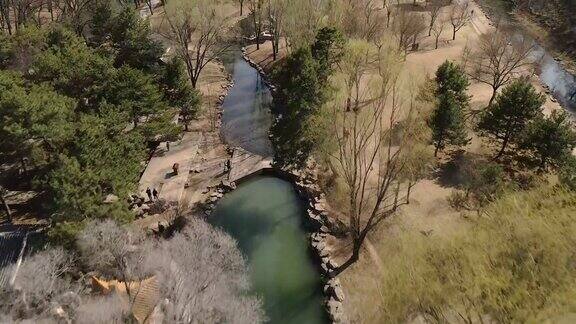 航拍无人机降落并飞过寺庙沿河排列着死树