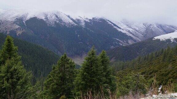 在中国四川雪山下的路上