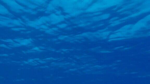 水下拍摄蓝色的水面自然背景与阳光在蓝色的水面上闪烁蓝色海水表面反射阳光的纹理