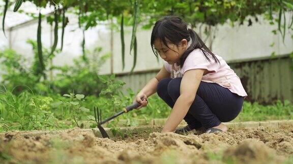 一个亚洲的中国小女孩正在有机农场温室学习农业知识
