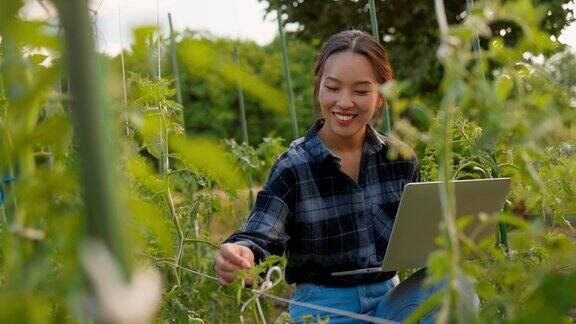 4K农妇在工作时使用笔记本电脑