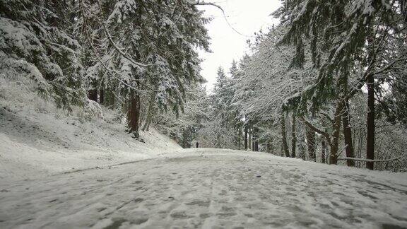 穿越森林的雪路