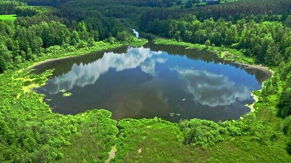 夏天在森林里的湖泊波兰鸟瞰图