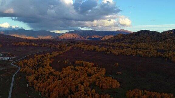 新疆河木桦林秋景