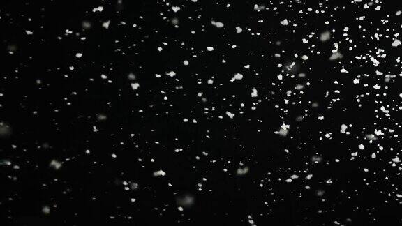 缓慢下落的蓬松雪花孤立在黑色背景上的循环真实的镜头光晕很容易使用混合叠加模式