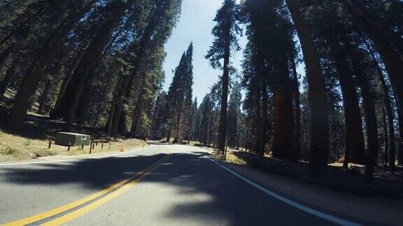 在美国西南部的夏季旅行:POV汽车驾驶在红杉国家公园加利福尼亚州