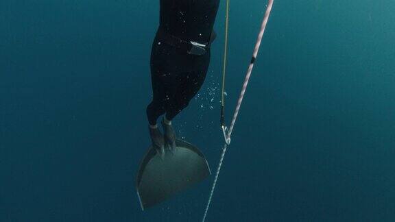 在海上的绳索上自由潜水男性自由潜水员在单鳍上沿着绳子慢慢上升