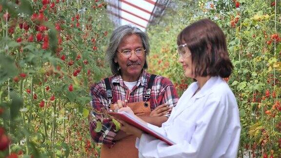 亚洲女性研究人员教番茄护理达到高质量