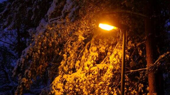 下雪时的现代街灯黄了