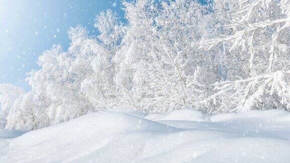 冬季背景有大雪