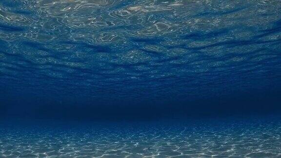 令人惊叹的水下水晶蓝绿色热带海水与涟漪表面和反射在海底与蓝色背景慢动作
