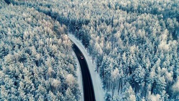一辆汽车在穿过森林深处的路上行驶的航拍照片4k