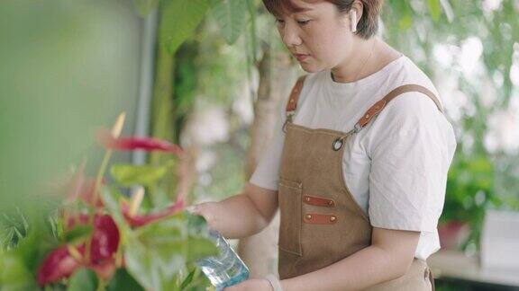 年轻的成年亚洲女性小企业主在花店工作