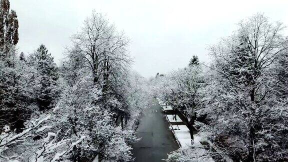 雪住宅大道