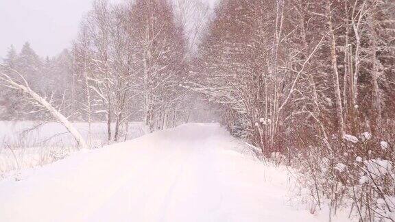 仔细看这条被雪覆盖的道路
