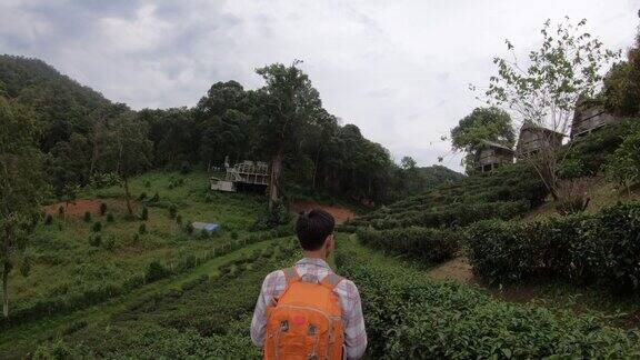 慢动作的旅行者走过泰国清迈的绿茶田